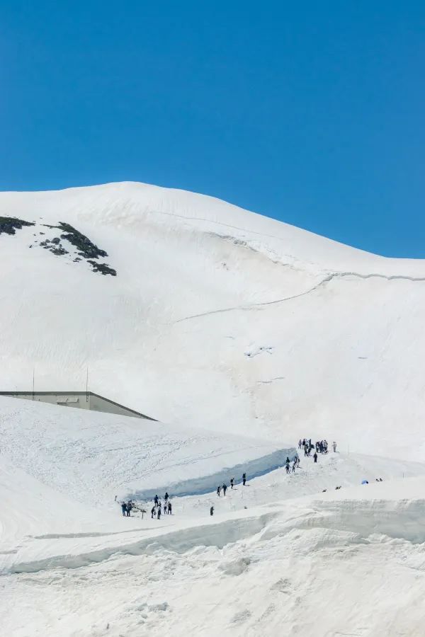 立山黑部雪牆：壯觀的自然奇景