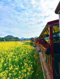 韓劇同款油菜花海|春日婺源超全旅遊攻略
