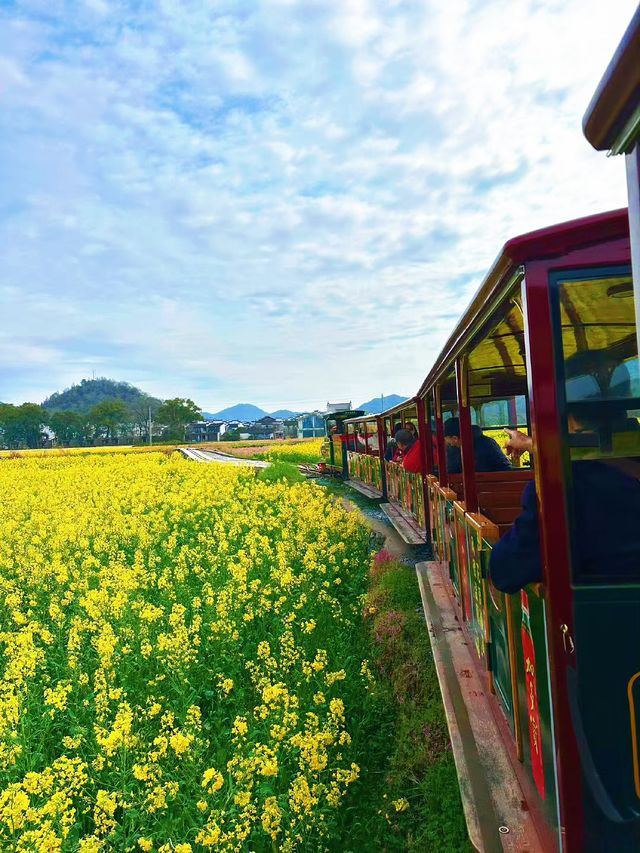 韓劇同款油菜花海|春日婺源超全旅遊攻略