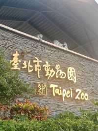 獸語晨曦：動物園裡的童年再現
