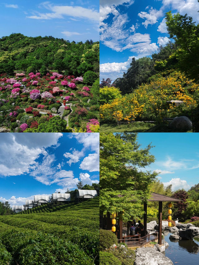 超驚艳的五一德清賞花攻略