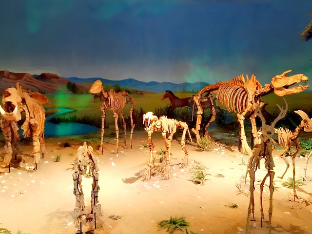 地質展館