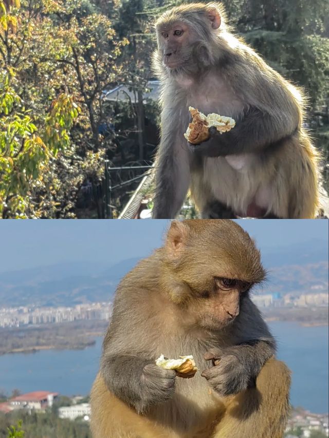西昌週末兩日散心記