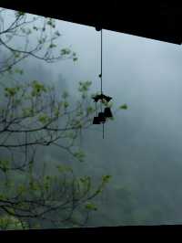臨安潛川 | 雨天好適合躺在山裡