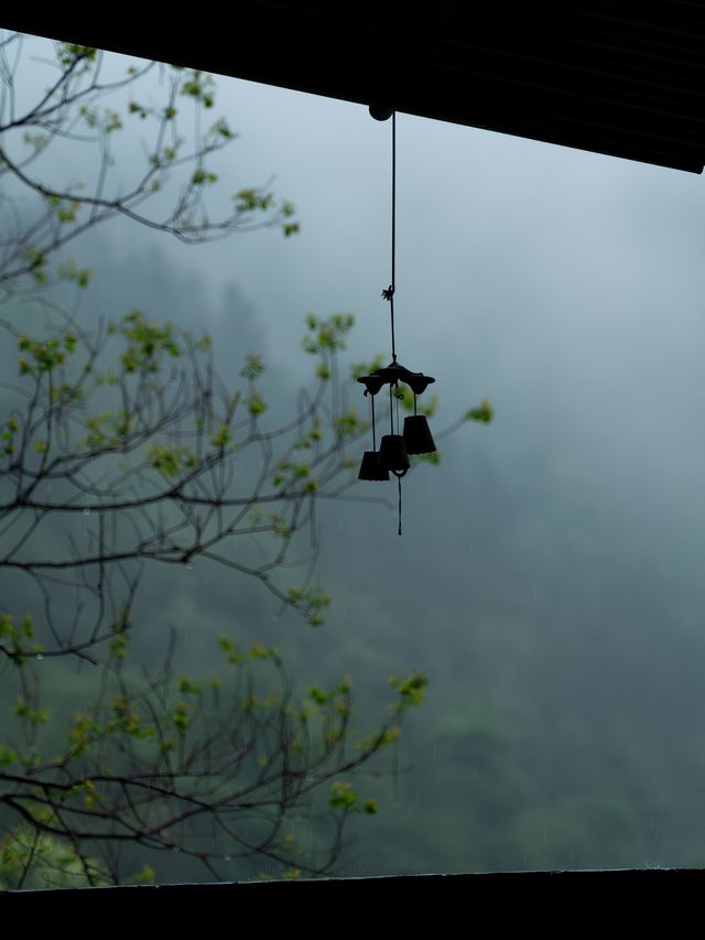 臨安潛川 | 雨天好適合躺在山裡