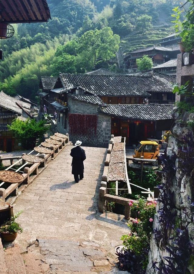 林坑2天1夜攻略｜我找到了現實版世外桃源