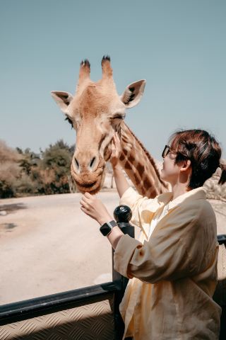 UAE Travel | I Experienced a Luxurious Wildlife Feel in Abu Dhabi