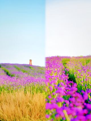 The most beautiful Guizhou trip is like a picturesque journey.