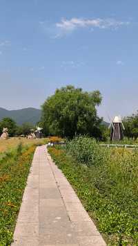 打卡太湖圖影濕地文化園