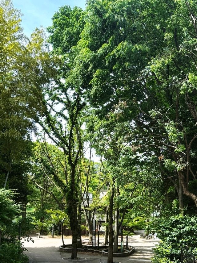 井之頭恩賜公園交通攻略：輕鬆抵達市區綠洲