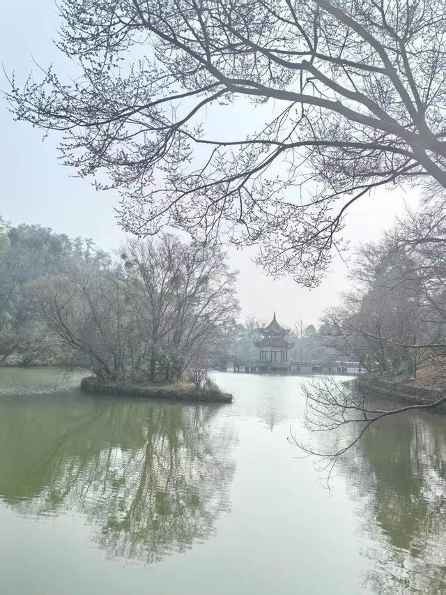 當陽玉泉寺：千年古剎嘅禪意秘境