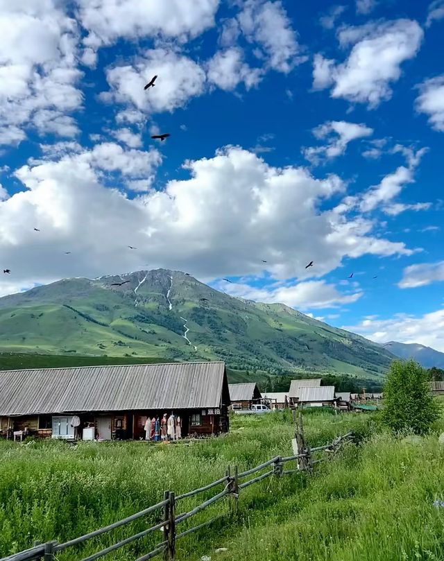 闖入現實版童話世界！阿勒泰嘅五月秘境藏唔住啦～