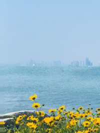 一直以為青島已經夠靚，直到我去咗黃島！