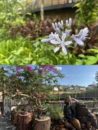 逃離35℃高溫！住進雲南咖啡莊園，實現咖啡自由