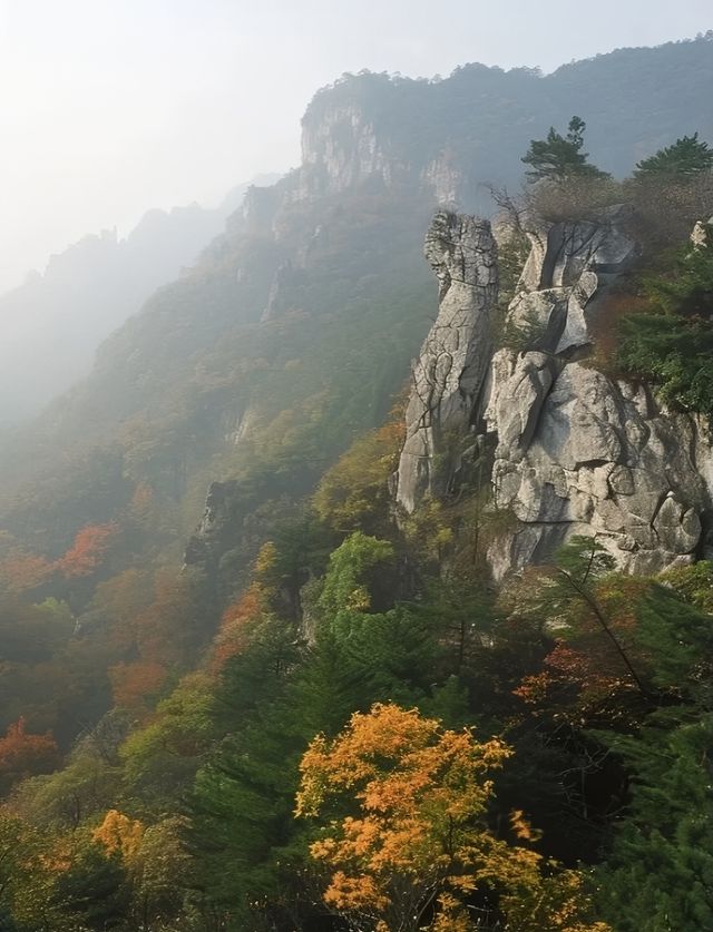 難怪呢度係江蘇嘅省會，去完一次仲想再去！