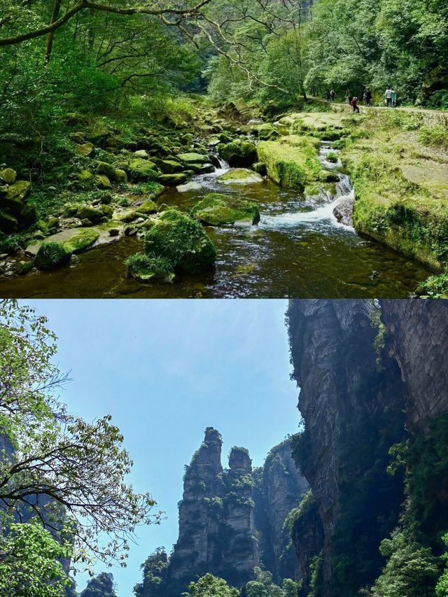 仙境張家界，奇峰三千醉天下