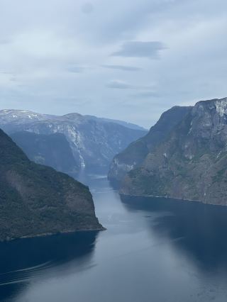 Bryggen, Fløyen, and Fjords: The Ultimate Bergen Experience 🇳🇴 🚢 