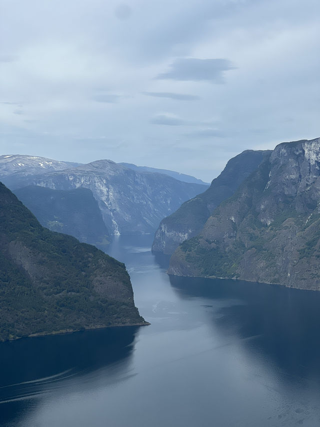 Bryggen, Fløyen, and Fjords: The Ultimate Bergen Experience 🇳🇴 🚢 