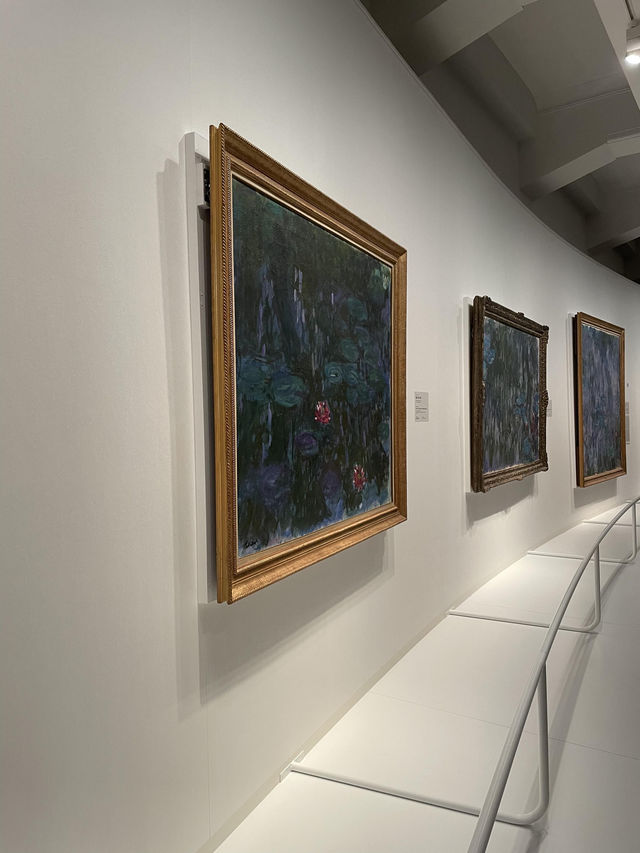 【直島地中美術館】防空洞の莫奈睡蓮