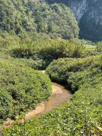 清遠牛湖線徒步攻略：探秘喀斯特地貌嘅奇幻之旅