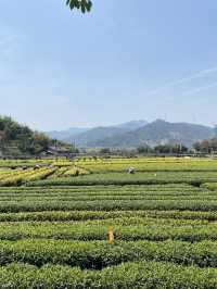 Travel Journal: A Day in Changshu 🏞️