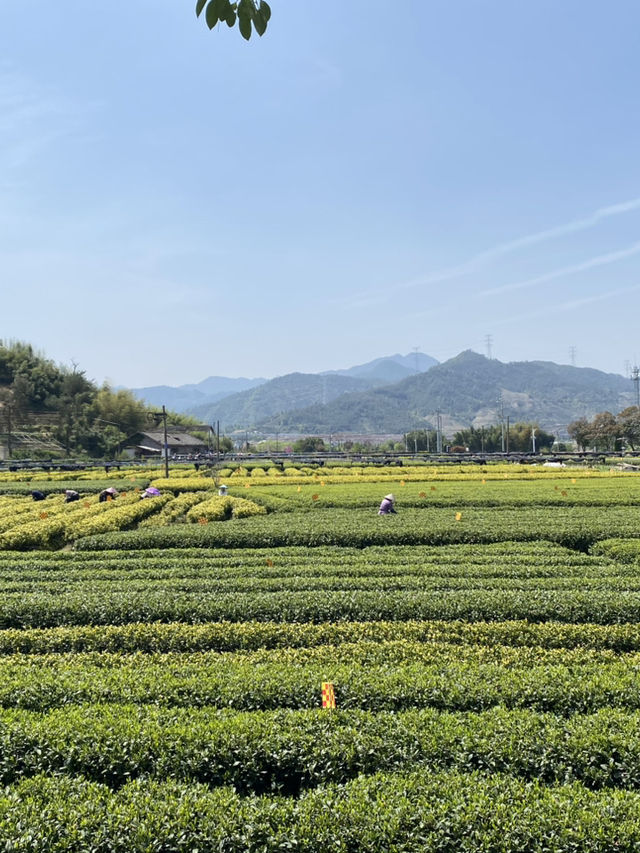 Travel Journal: A Day in Changshu 🏞️