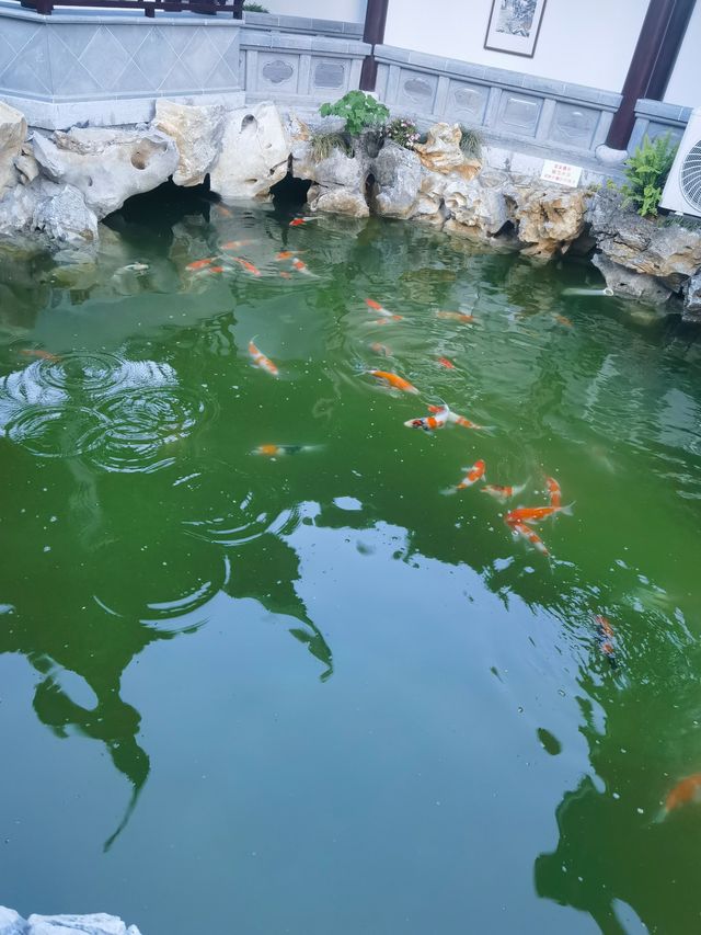 喺返工同進修之間選擇上山  ‖  太湖山野徒步旅行計劃