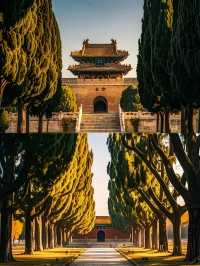 濟寧｜在孔廟的晨光裡，聽見兩千年的讀書聲