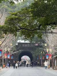桂林 陰天都擋唔住嘅美好之旅