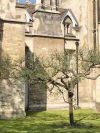 One day in Cambridge💕