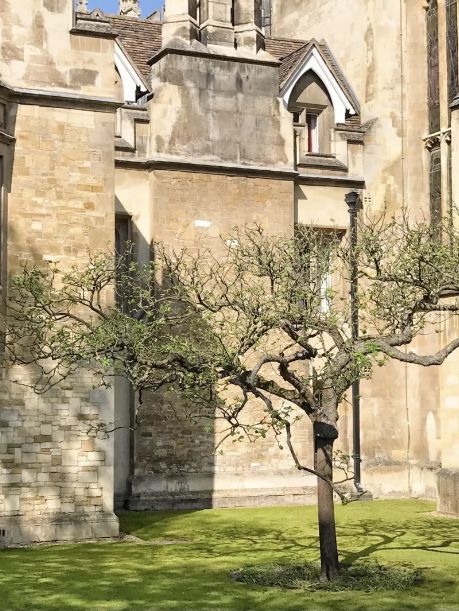 One day in Cambridge💕
