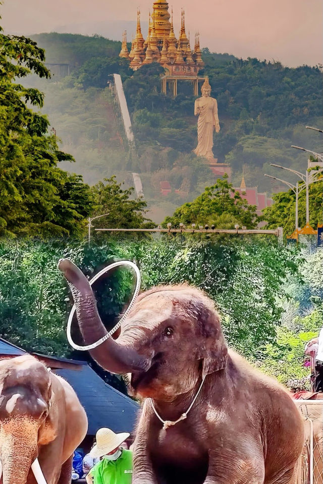 快啲收藏西雙版納四日三夜旅行攻略嚟啦