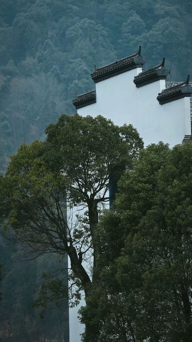 逃離人潮！攜程私藏旅拍地，承包你的詩意與遠方