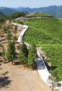 打卡青梅尖野生廚房拍攝露營地＋入住融景灣酒店 今次江浙滬周邊遊徹底愛上呢度 青梅尖