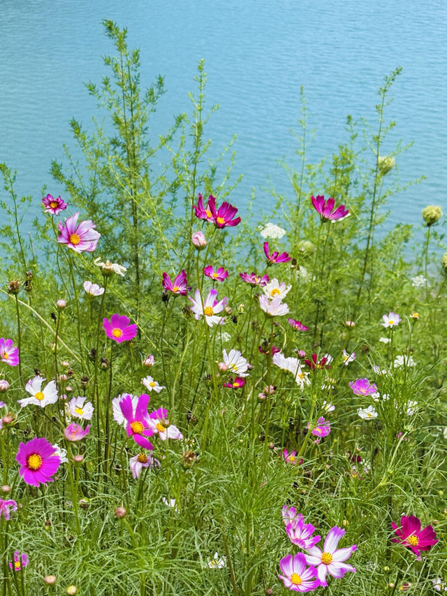 重慶小瑞士 中梁山礦坑公園美到失語