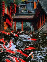 杭州：一城煙雨半城湖，我在江南的畫卷裡等你"