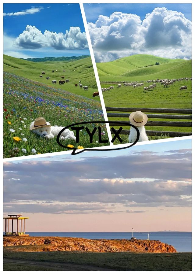 呼倫貝爾6日遊私家團｜躺平式出遊