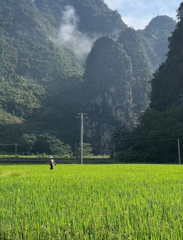 因為呢扇窗🪟｜我喺度住咗3日