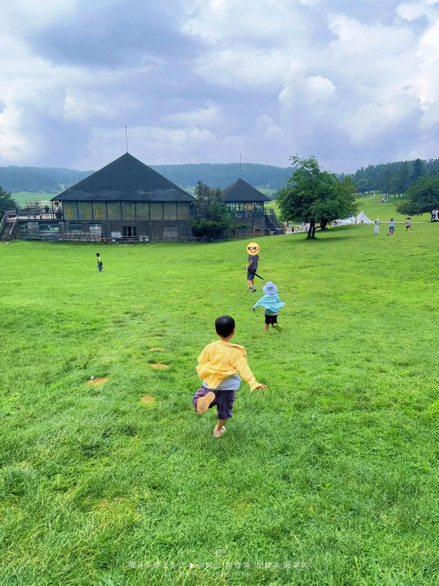 40℃重慶秒變20℃！仙女山避暑全攻略，人均300住瑞士