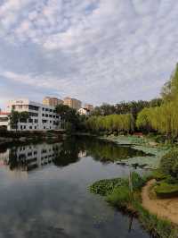 閒遊板橋坊河之三湖公園