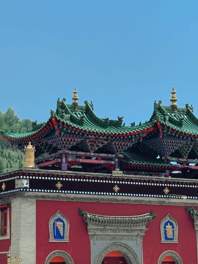 西寧7~8月真係唔建議去，因為實在係～～～