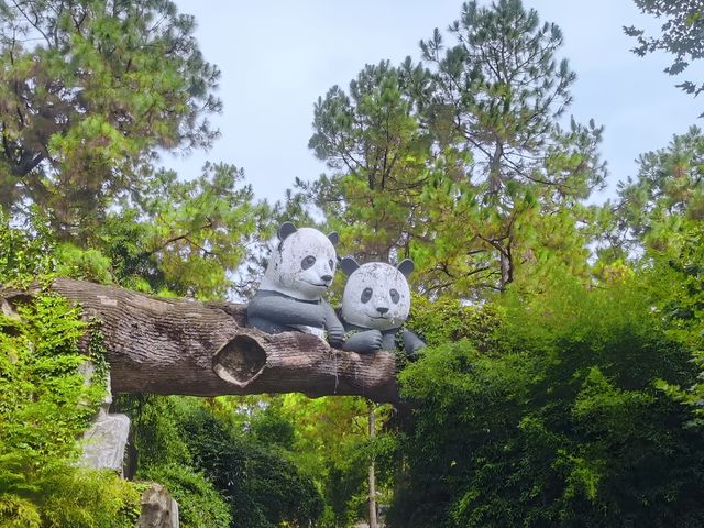 去咗4次安吉竹博園，終於玩到明！