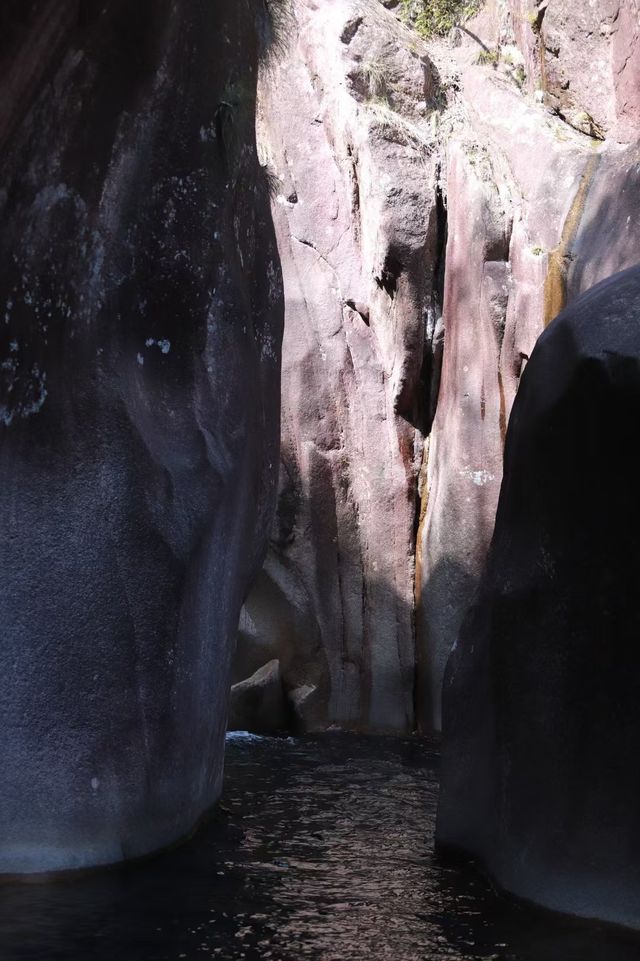 武夷山桐木峽谷｜35℃夏天呢度根本唔存在