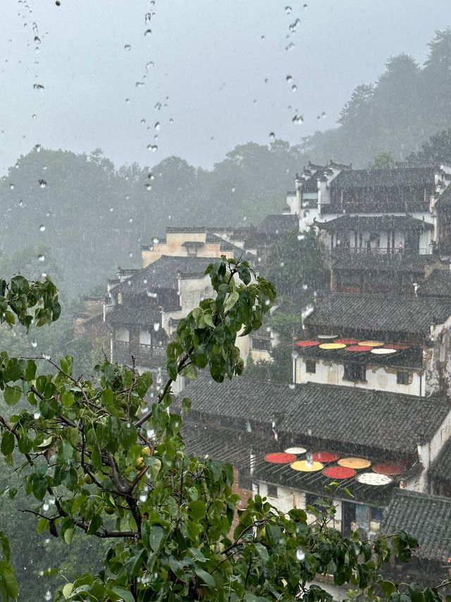 煙雨婺源美如畫