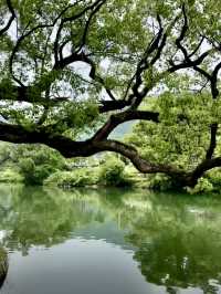 探秘上坦村，邂逅水墨江南