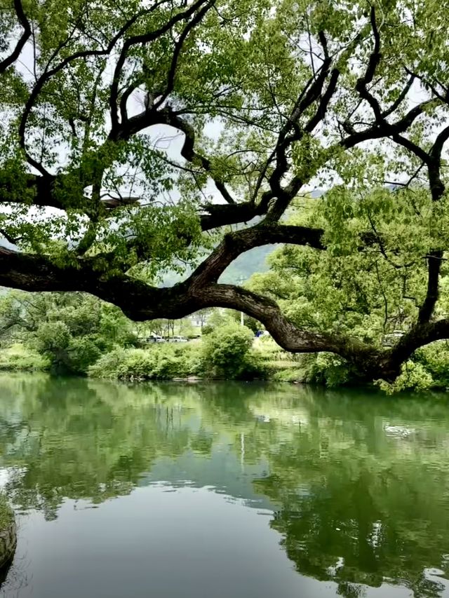 探秘上坦村，邂逅水墨江南