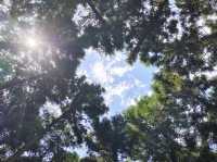 逃離火爐，奔向21℃嘅石柱夏天