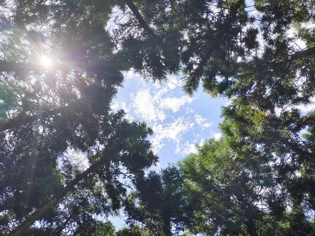 逃離火爐，奔向21℃嘅石柱夏天