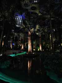 勇闖上海溫室花園夜遊，像阿凡達一樣在雨林探險