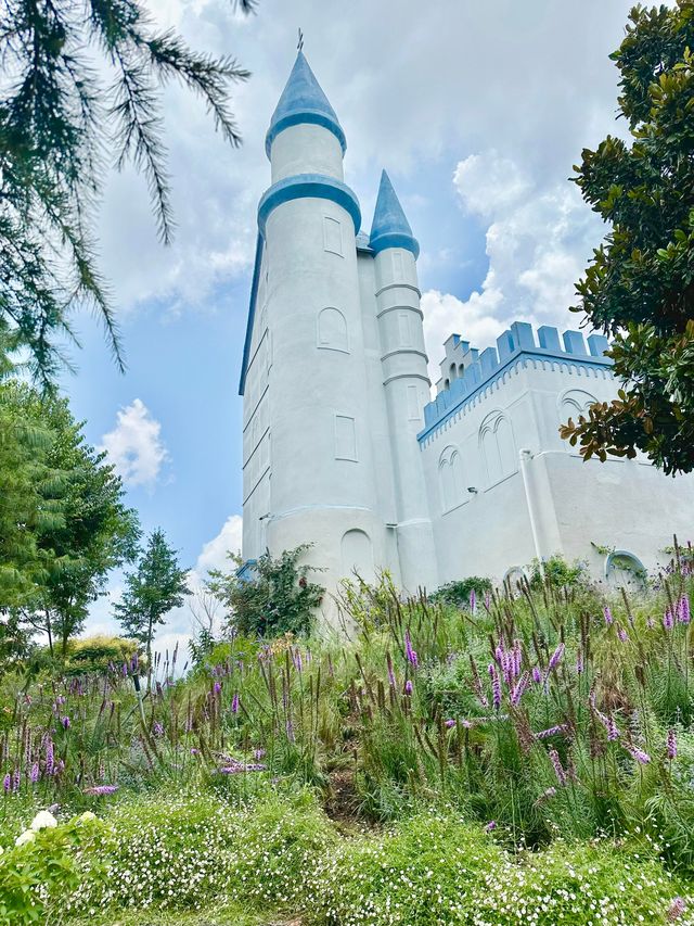 7月🪻春城點可以唔去花園影相昆明小唐頓
